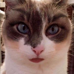 Meet your Posher, Kara